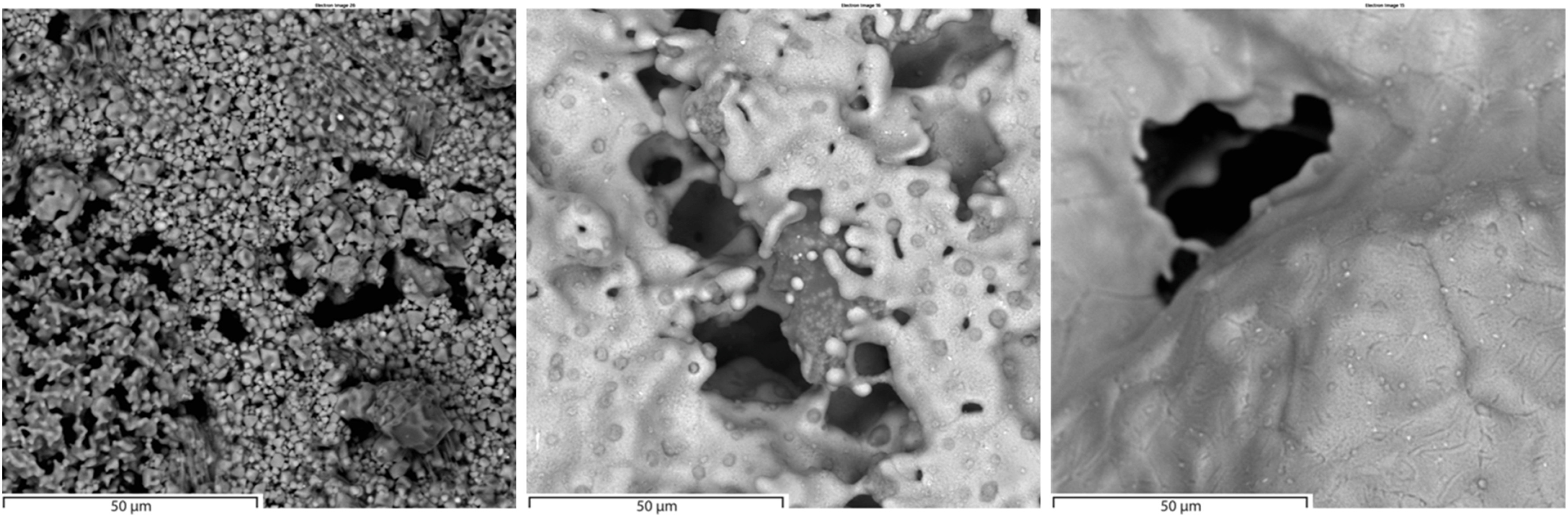Fig. 3. SEM-SED pictures (1000x magnification) of sample (a) after 1100 °C (b) 1150 °C and (c) 1200 °C reduction.